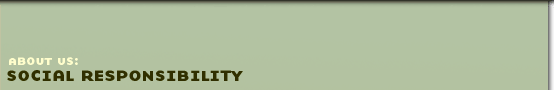 Top Banner