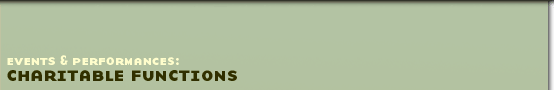 Top Banner